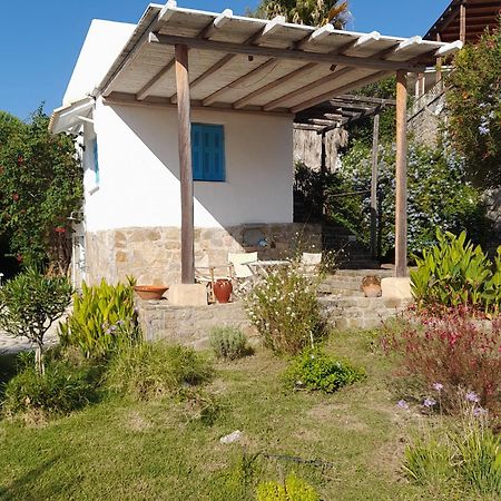 Lemon Tree Cottage Finikúnda Kültér fotó