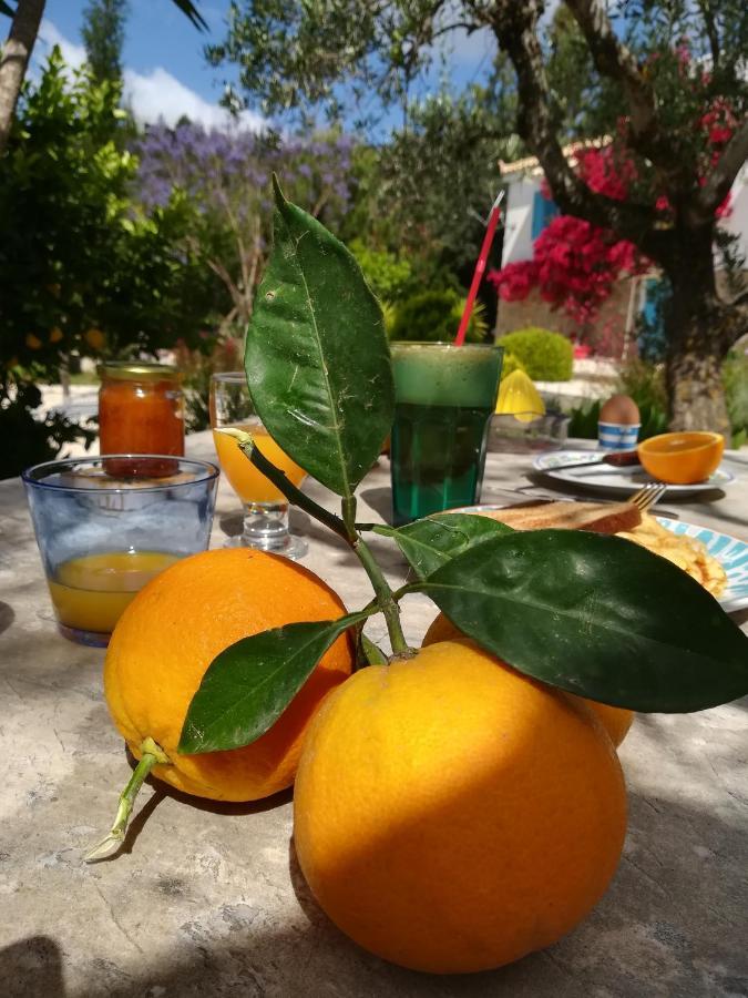 Lemon Tree Cottage Finikúnda Kültér fotó